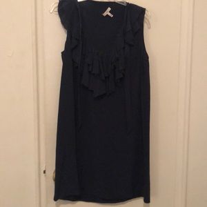 Silk Joie dress